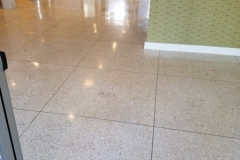 Terrazzo floor - cleaned, sealed, and buffed.